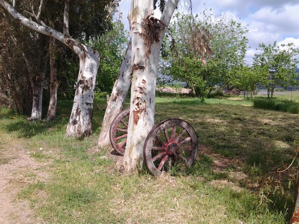 Agriturismo Spinalva Perfugas エクステリア 写真